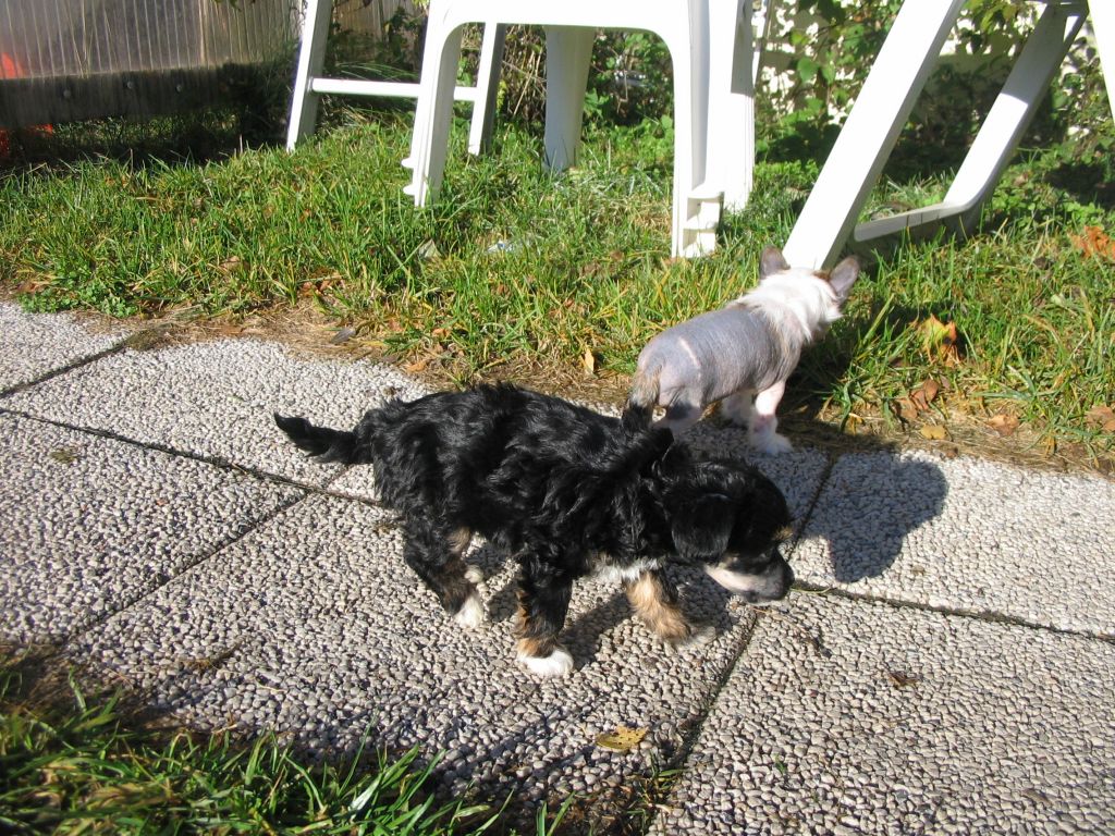 Spirit Of Mantra's Coola Astrid