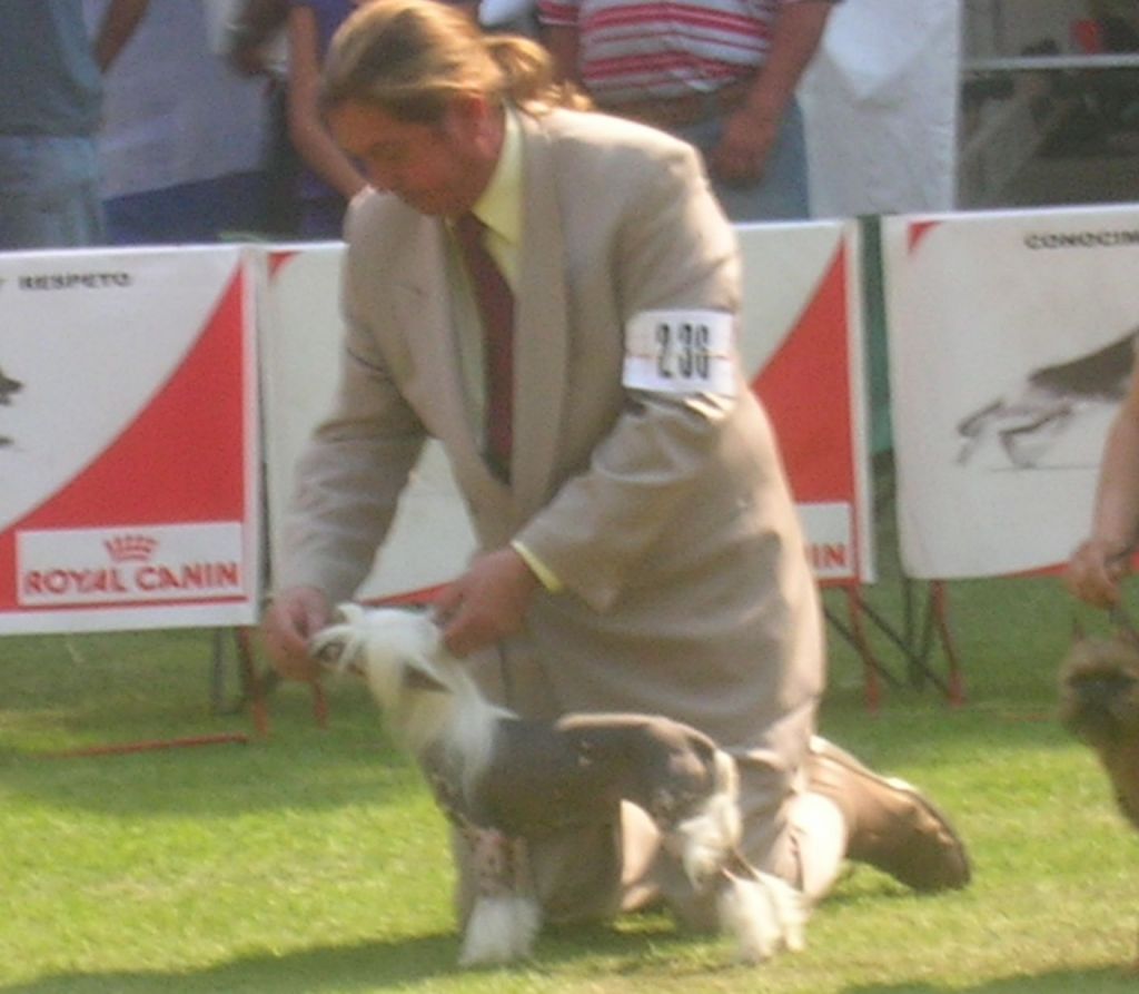 XO's Pearl of My Heart