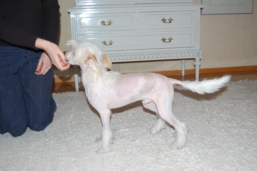 Pinky Twinky Dr. Love