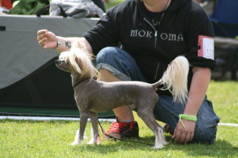 Magic'N Mystic Ghost Story