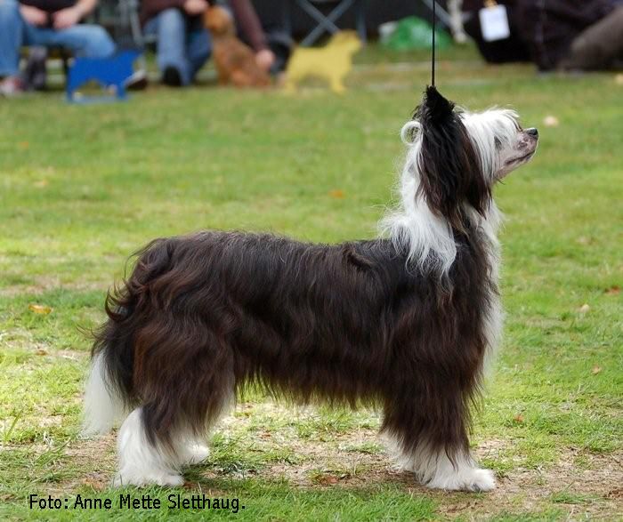 De La Mahafu's Love's Funny