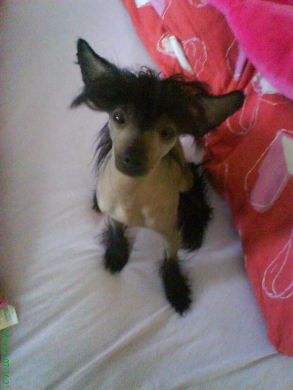 Angels Of Joy Amazing Grace