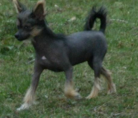 Sasquehanna Pensylwania