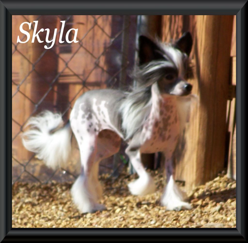 Serenity Tag Teams Baldpark