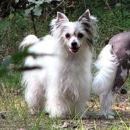 Fanta z Bajki Agnieszki