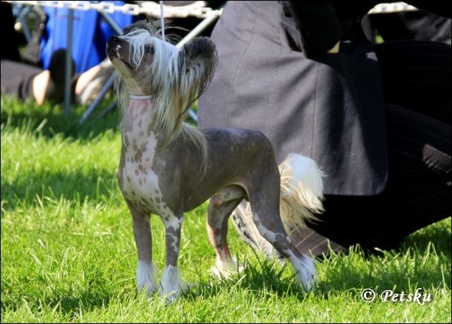 Amtietam's Amusement Park