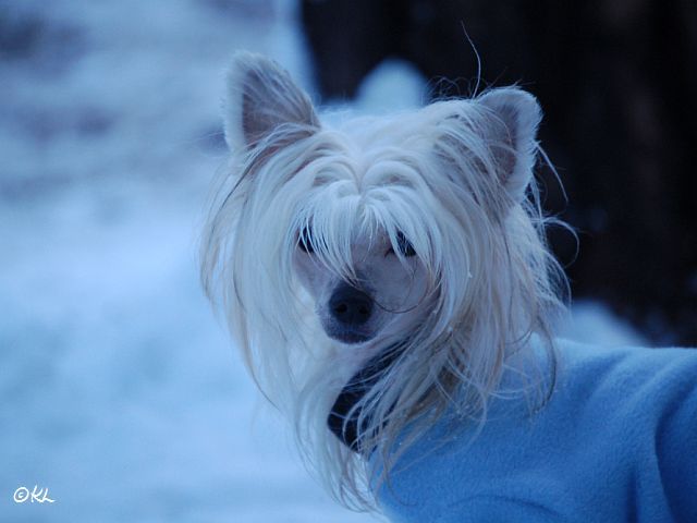 Amtietam's All My Loving