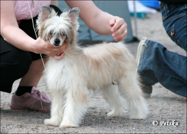 Amtietam's Always In My Heart