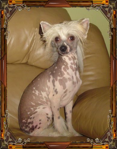 DragonHill One True Lady