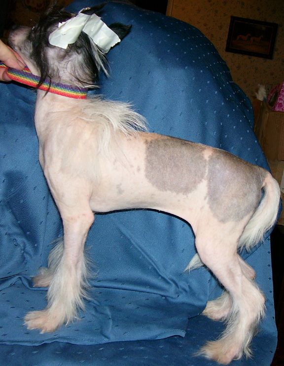 Spiritual How Sweet It Iz