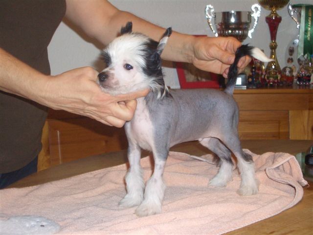 Hot Spot Fantasy Island