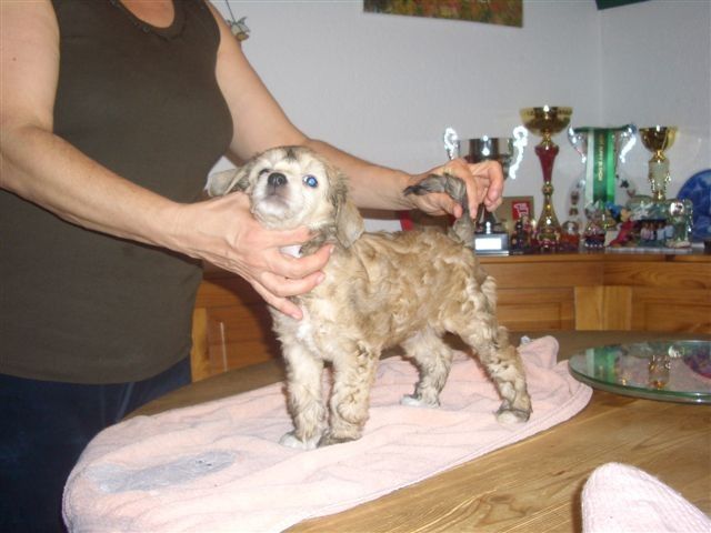 Heaven Kisses Fantasy Island