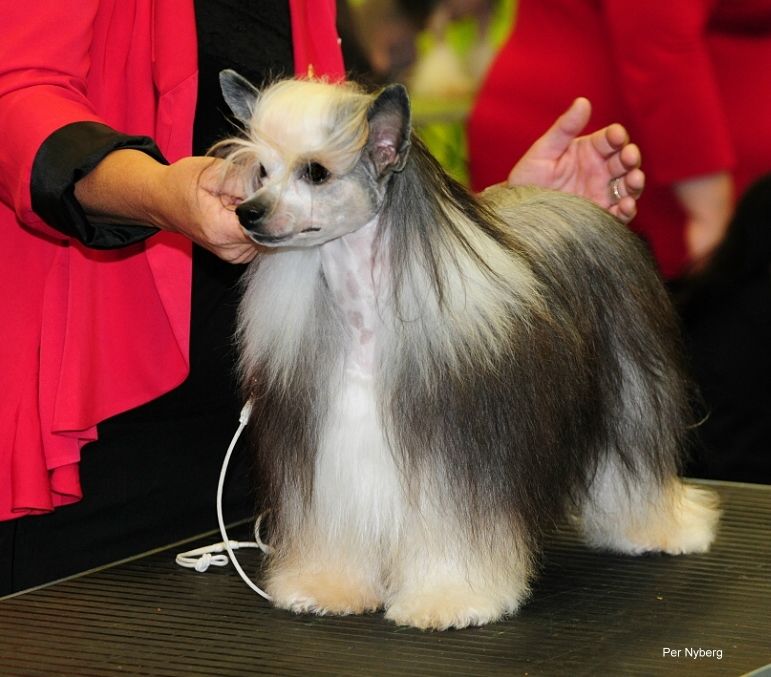 Bed'ykins Ain't A Saint