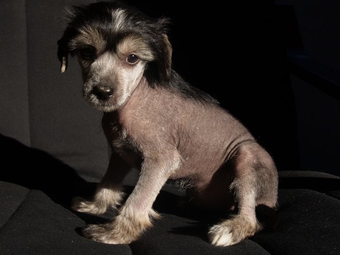 Belinda Divoky tymian