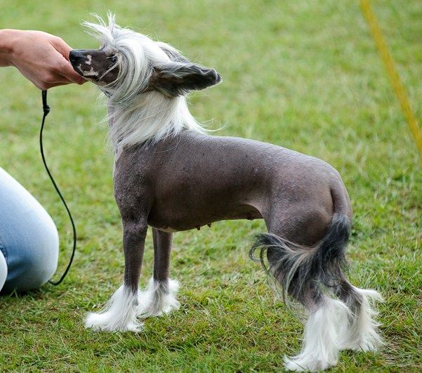 Väråsen High Fashion