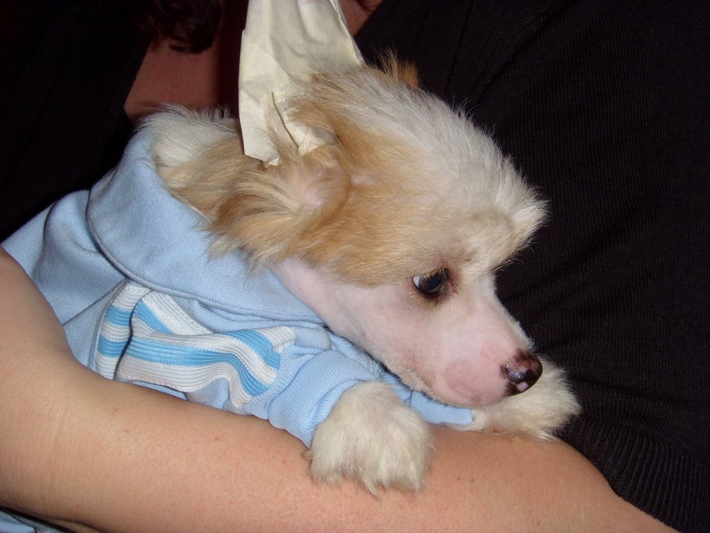 Cool Crowd's Don't Drink And Drive