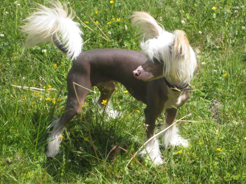   Artic Tundras Christian Dior