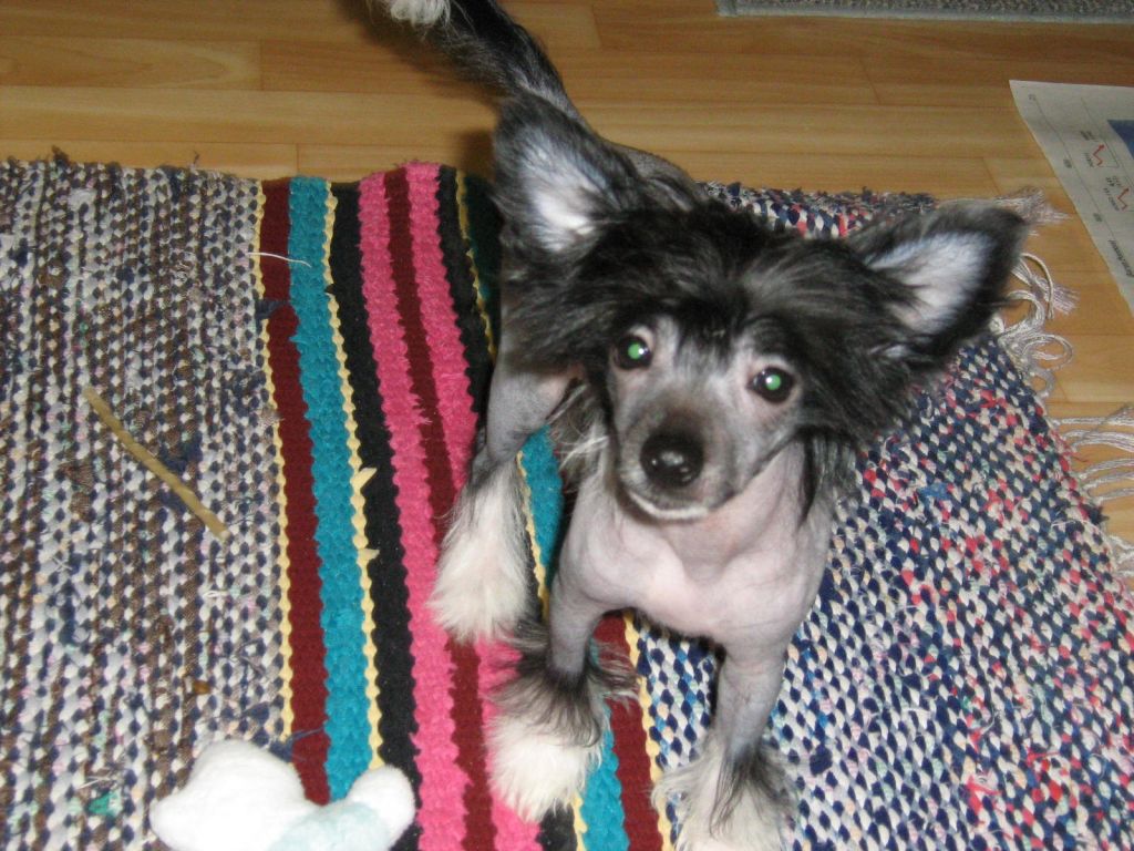 Jettafon's Cute Love Story