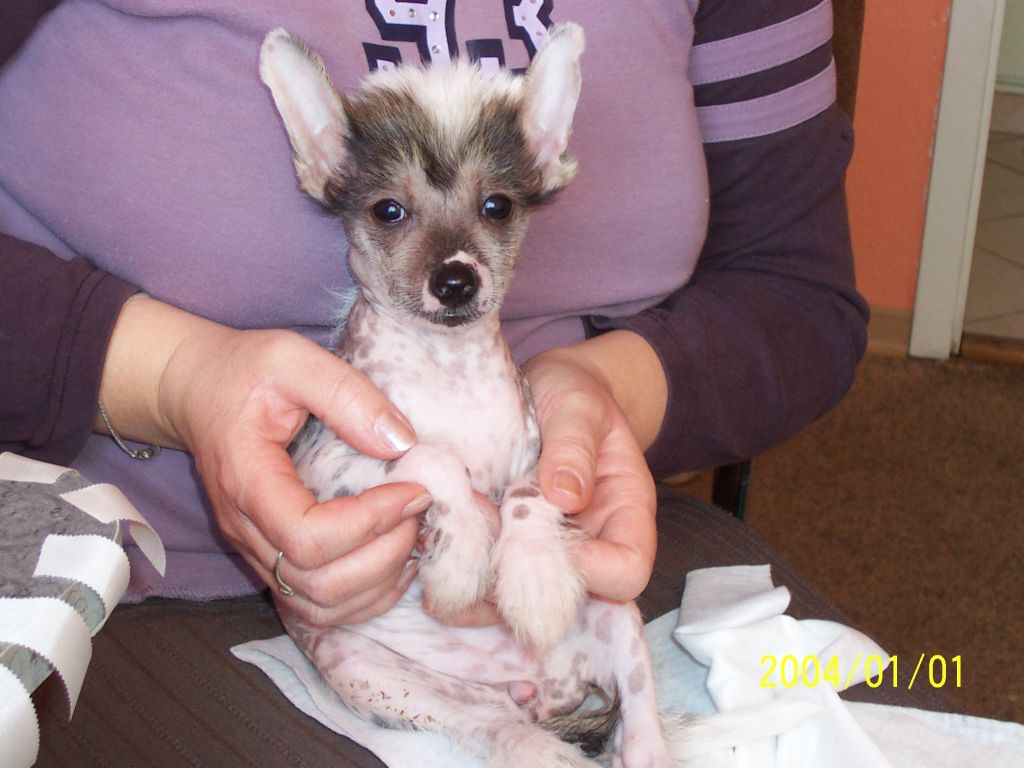 Alyssa Tikva of Pinky Punkies