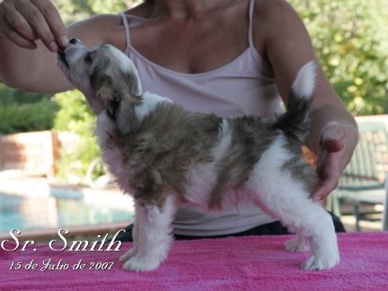 Aerosmith Della Castafiore