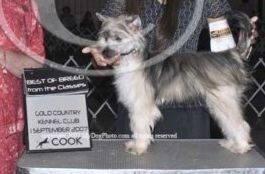 Sundown's Final Finale