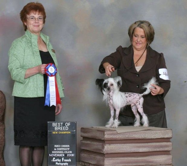 Gracieux C N Stars At Yorkhouse