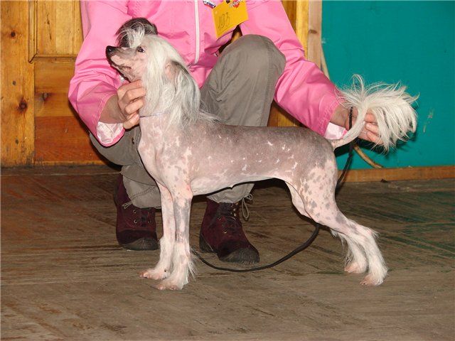 You Only You Bon Bon