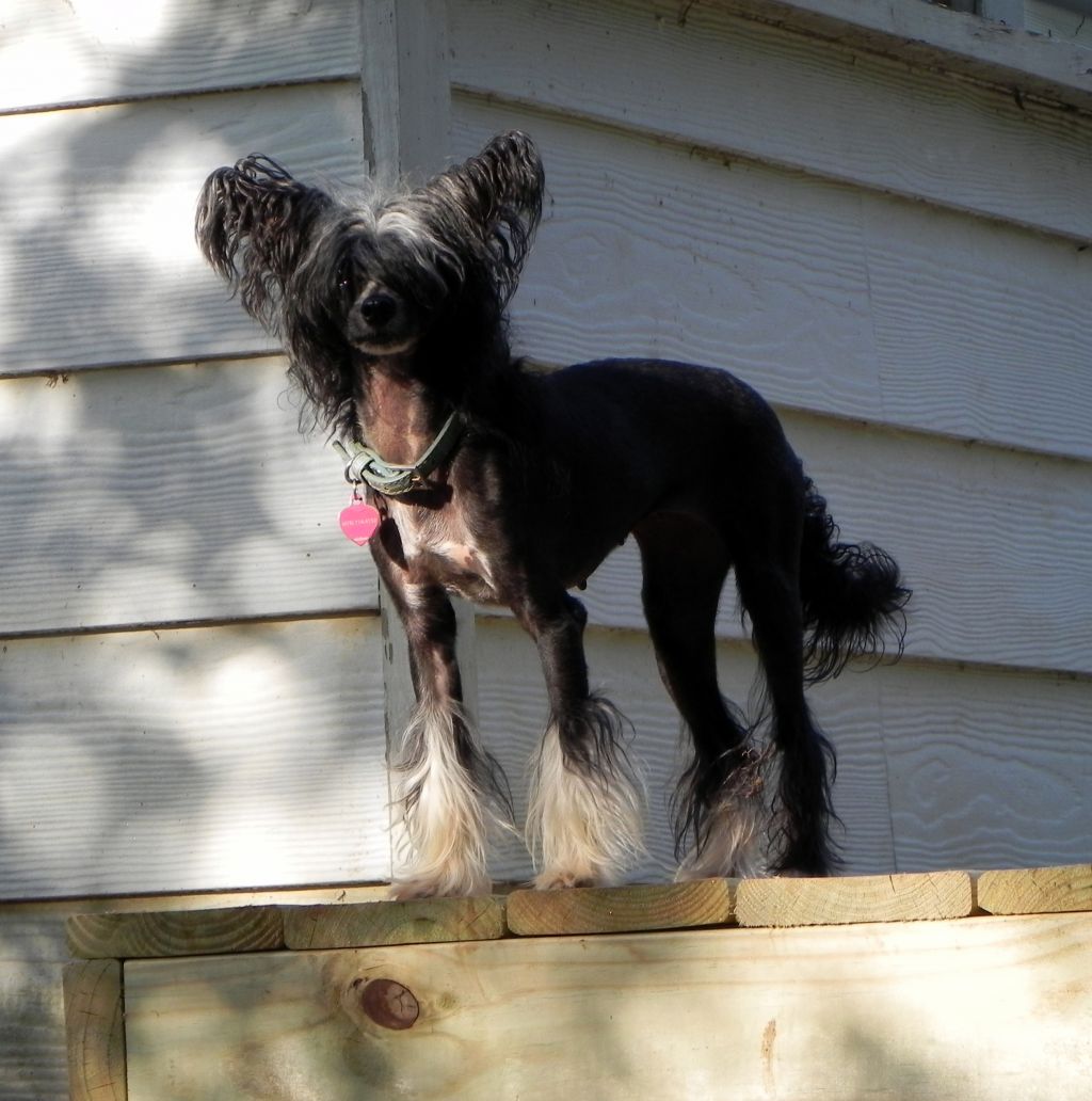 Spiritual A Walk in the Park