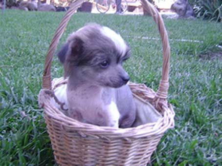 Pascuala de Antukuyen