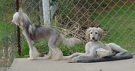 Sakkarra On Cloud Nine!