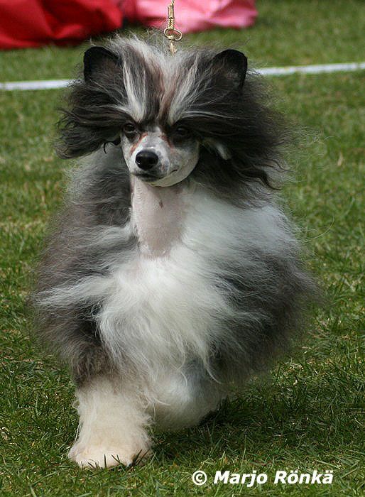 Sun-Hee's Sensation in Black