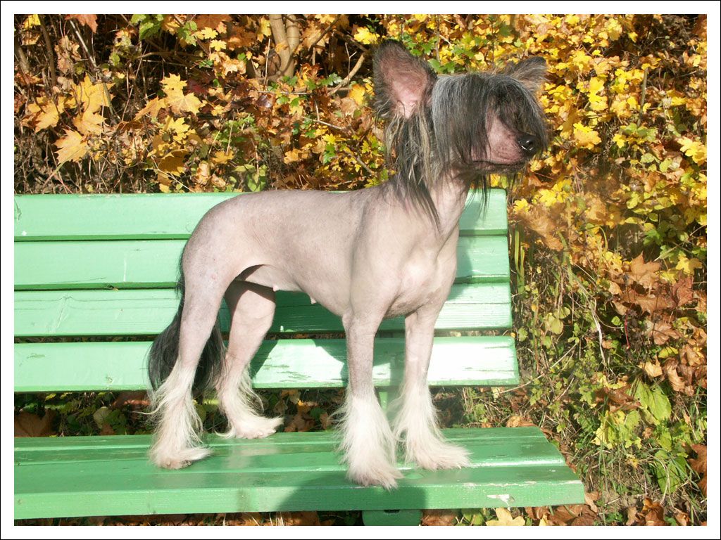 Anelis Isis Ali-Alibi