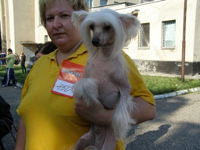 Russkiy Samurai Orson