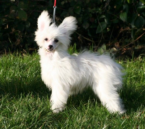 Vanitonia Pearls Of Wisdom