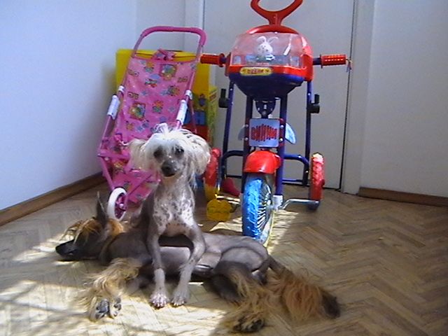 Zheneva-Debjut Madam Broshkina  