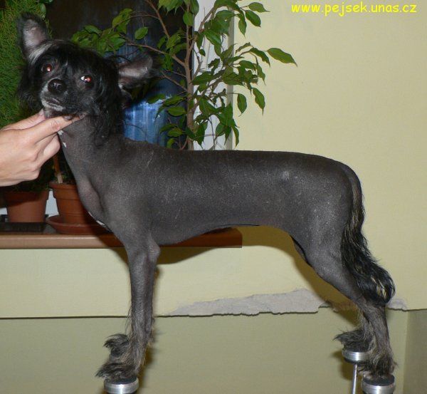 Kristine ze Zatopene Chajdy