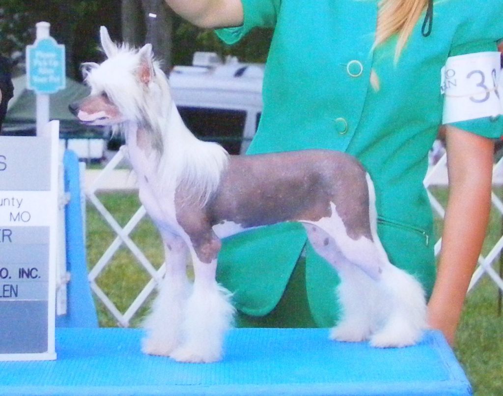 Whisperinln Wishyawuz Hotlikeme