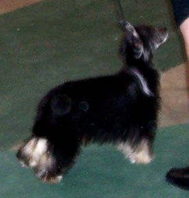 Hampshire Quilla Nike At Night