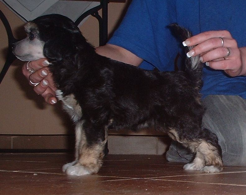 Paris z Jasne hvezdy