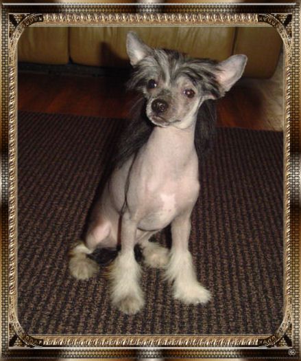 Deekays Outlaw On The Run