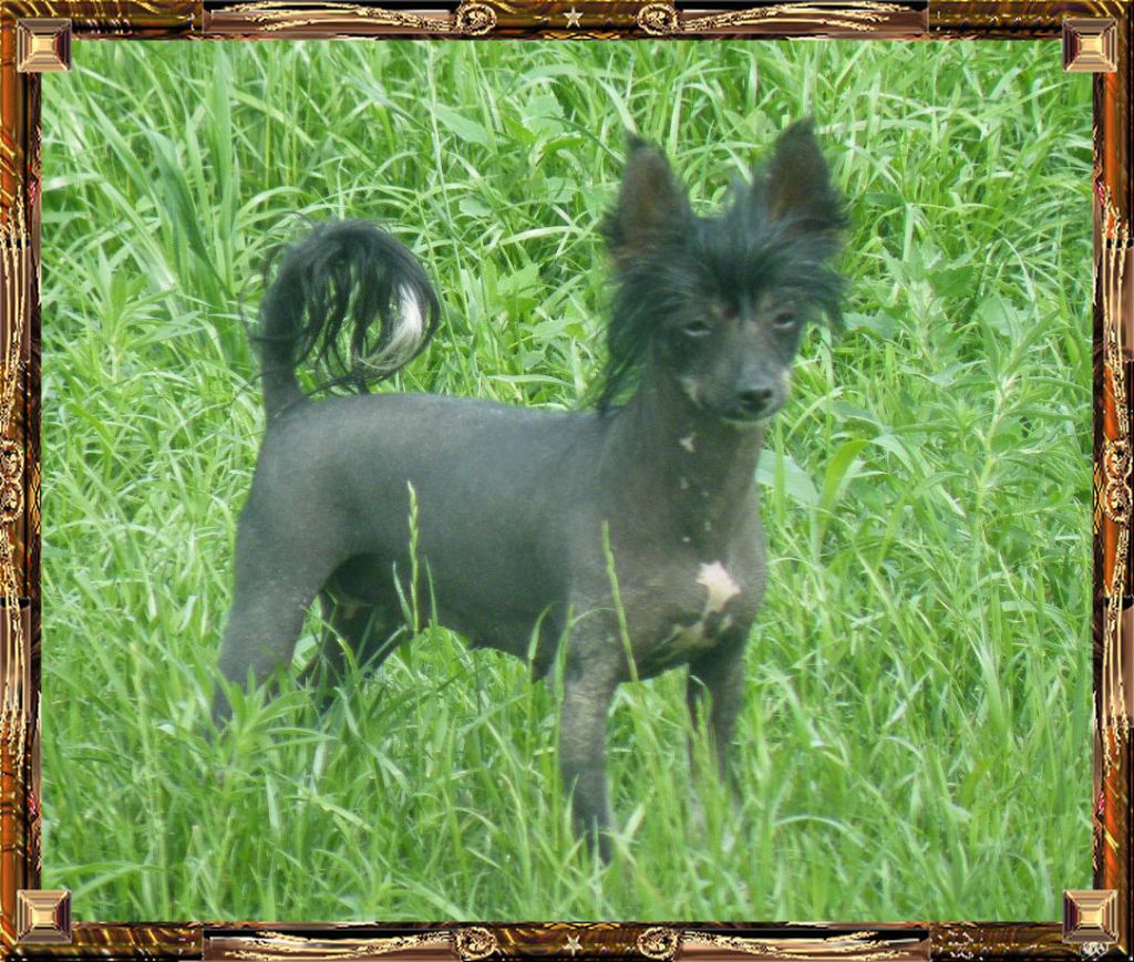 Outlaw's Breakin All The Rules