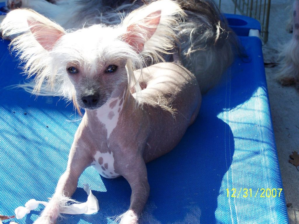 Hilife Sirius It's Not Butter