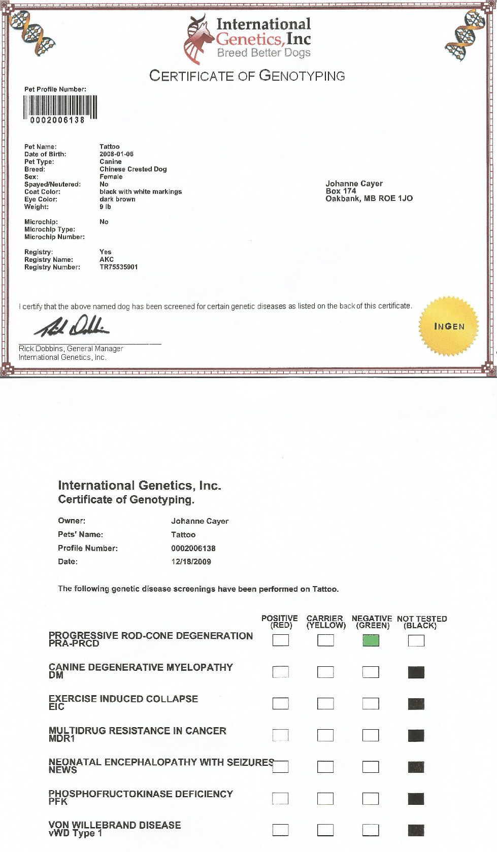 Crestyle Risky Business HL CGN