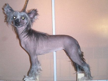 U-Lun Bin Chha iz Zelenoy Roshi