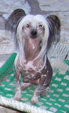 Marquis Talk About Me N'Bed Hl    