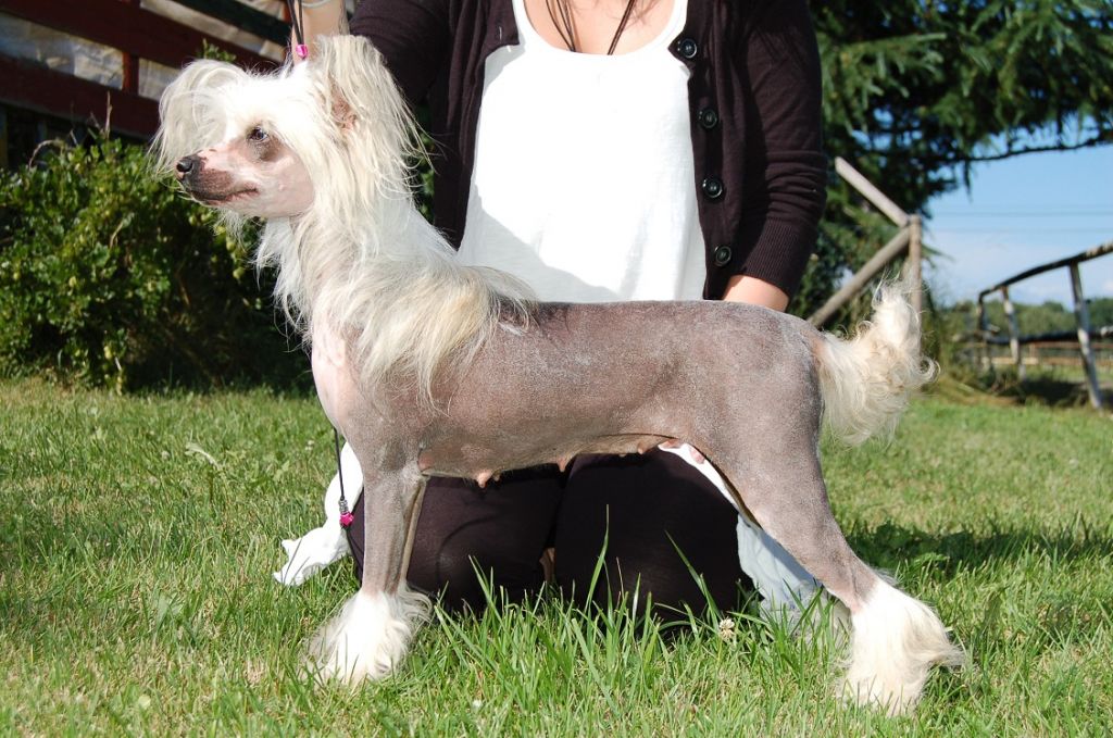 Dream Space Bon Jour To Angel Look