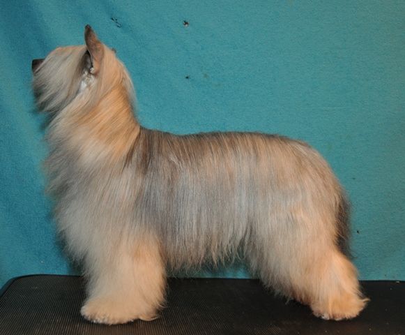 Lucky Line's High On Life