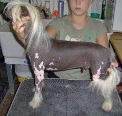 Kadmors Beast Of Burden