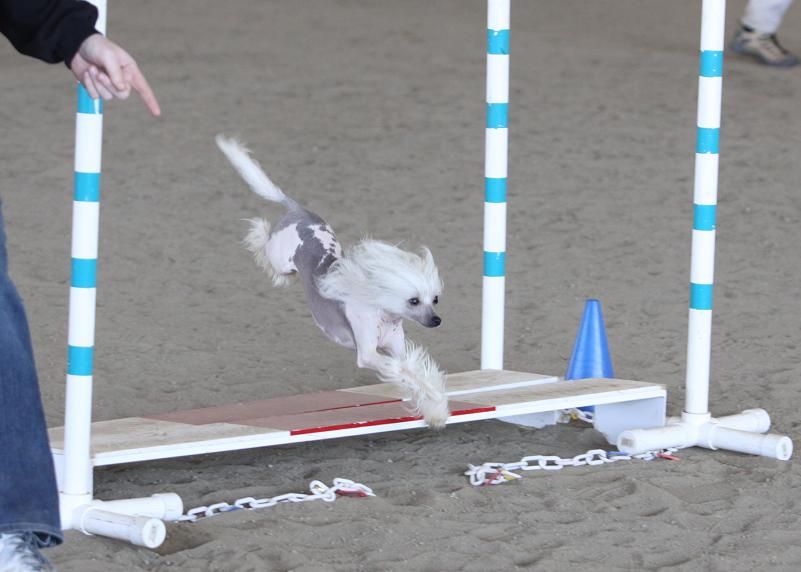 Koridawn Delende Say Cheese Wudnshu