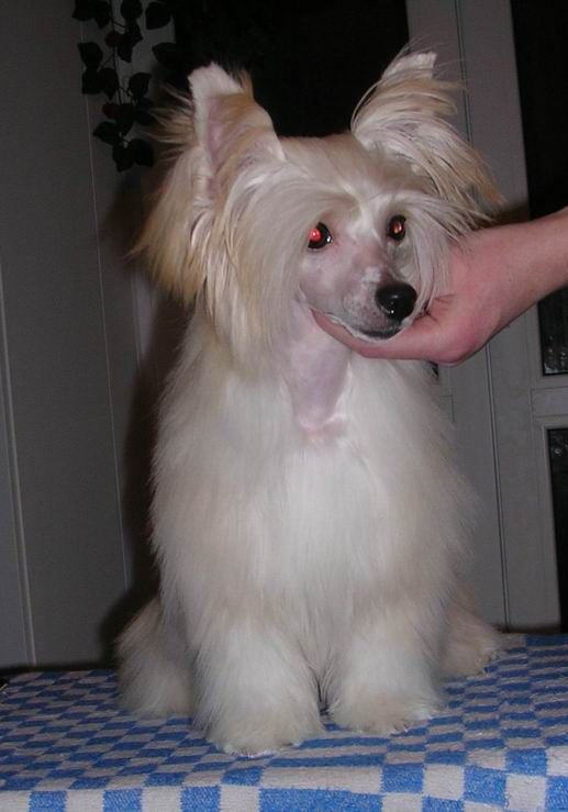 Alfa Laval Perfection Without Doubts